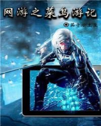 網遊之菜鳥遊記